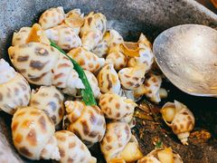 盐焗花螺/斤-猪肉婆私房菜(容桂总店)
