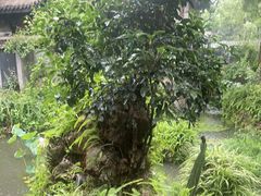 -大妙火锅·非物质文化遗产(东湖公园店)