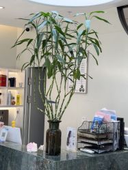 -吉艺心专业美发造型