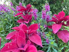 -西北湖绿化广场