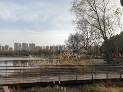 -郑州植物园