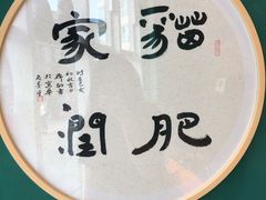 -飞行喵MR PILOT|猫舍·猫咖(静安大融城店)
