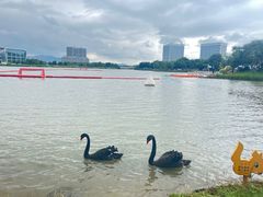 -琅岐红光湖公园