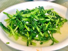 茼蒿-曹家大院(通州店)