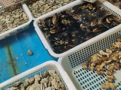-韩家墅海吉星农产品批发市场