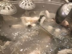 -正能量脆肉鲩火锅
