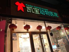 -悦宠凯宝动物医院·牙科·皮肤科(朝阳北路店)