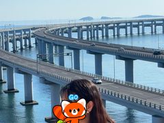 -星海湾跨海大桥