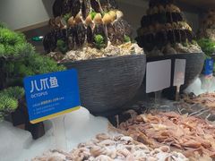 -星伦多自助料理·涮烤一体(江桥万达店)