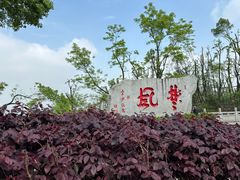 -岳麓山风景名胜区