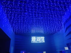 -石家庄海洋公园