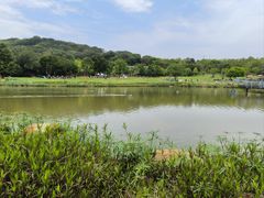 -牛岗山公园