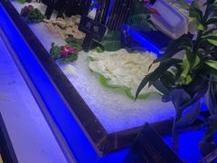 -加餐海鲜自助(宝龙一城店)