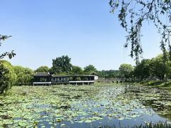 -尚湖风景区