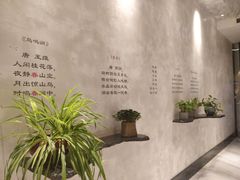 -金尚源SHANG