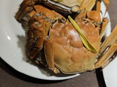 -蟹榭·莳鲜(虹桥高岛屋店)