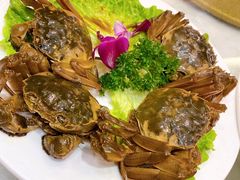 -老克勒上海菜(南京路步行街店)