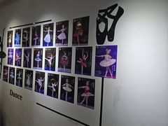 -中央芭蕾舞团·中芭艺蕾(酒仙桥明星校区)