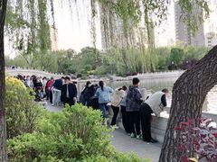 -迎泽公园