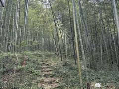 -莫干山风景区