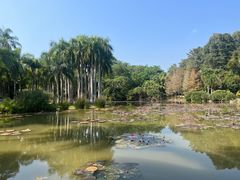 -中国科学院西双版纳热带植物园