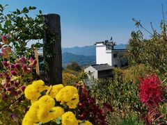 -塔川景区