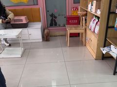 -全心全意连锁动物医院·微创中心·内科急重症·心脏专科(丰管路店)