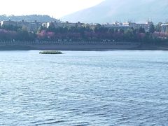-安宁市宁湖森林公园