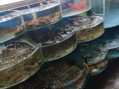 -四海蒸鲜蒸汽海鲜自助(北戴河店)