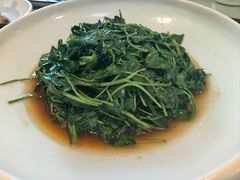 崇明小菠菜-长兴菜馆(高桥店)