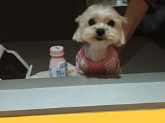 -MARSMART PETS火星宠物超市(1733店)
