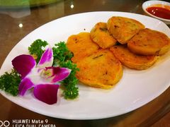 -百年银屏蚝烙·潮汕菜·非遗(乐山店)