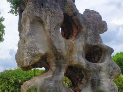 -粤晖园