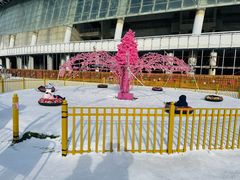 -沈阳奥体冰雪嘉年华