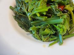 -客临百思德·东北特色馆(龙湖时代天街店)