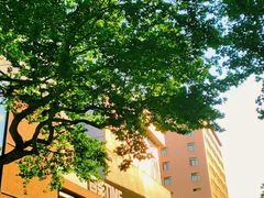 -西安电影制片厂