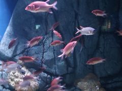 -成都浩海立方海洋公园