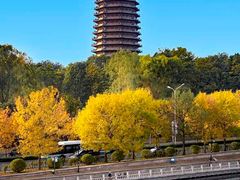 -玲珑塔公园