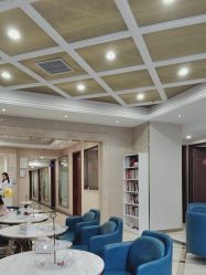 -碧莲盛·不剃发植发