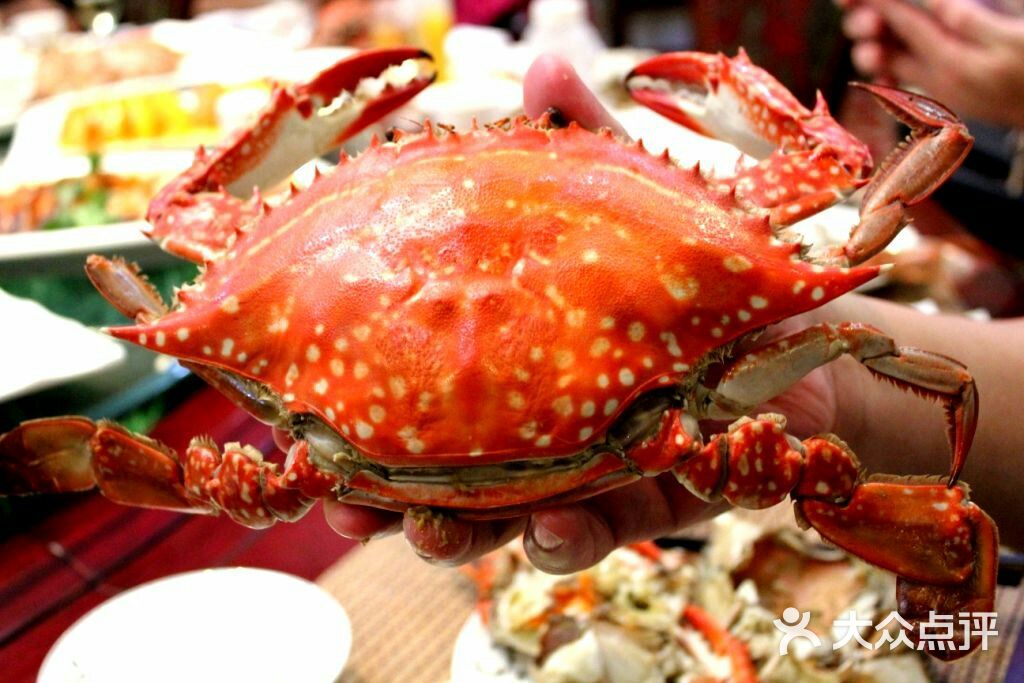 新四海海鲜城-图片-沧州美食-大众点评网