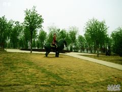 -济南国际园博园