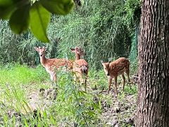 -不觉晓CAMPING(上海迪士尼营地店)