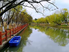 -九科绿洲