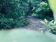 -白公馆