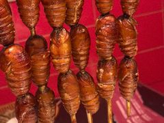 -杨家崴子碳缸烧烤(东三马路店)