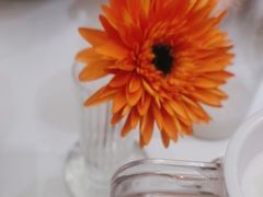 -眉州东坡(国贸店)