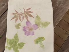 -源香农宝·亲子采摘·钓虾·科普研学