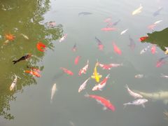 -春风习习