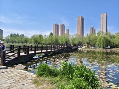 -前关湿地公园