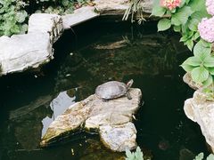 -谷咖啡·鲜花绿植花园餐厅